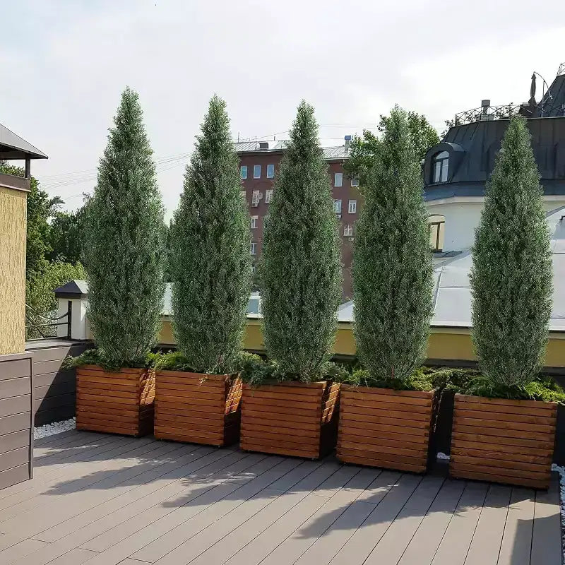 Lot de 2 topiaires Acekool de 1,5 m – Aspect cèdre réaliste pour l'intérieur et l'extérieur