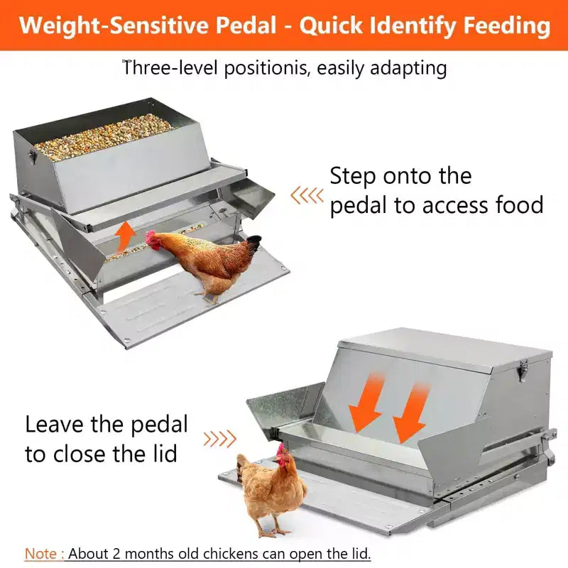 Mangeoire pour poulets, automatique 12,2 kg en acier galvanisé - À pédale, anti-rats, anti-gaspillage, nourrit 10 poulets pendant 11 jours, convient aux canards, poules naines, faisans