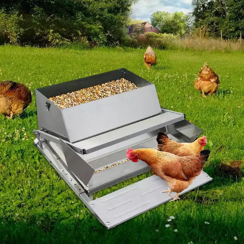 Mangeoire pour poulets, automatique 12,2 kg en acier galvanisé - À pédale, anti-rats, anti-gaspillage, nourrit 10 poulets pendant 11 jours, convient aux canards, poules naines, faisans