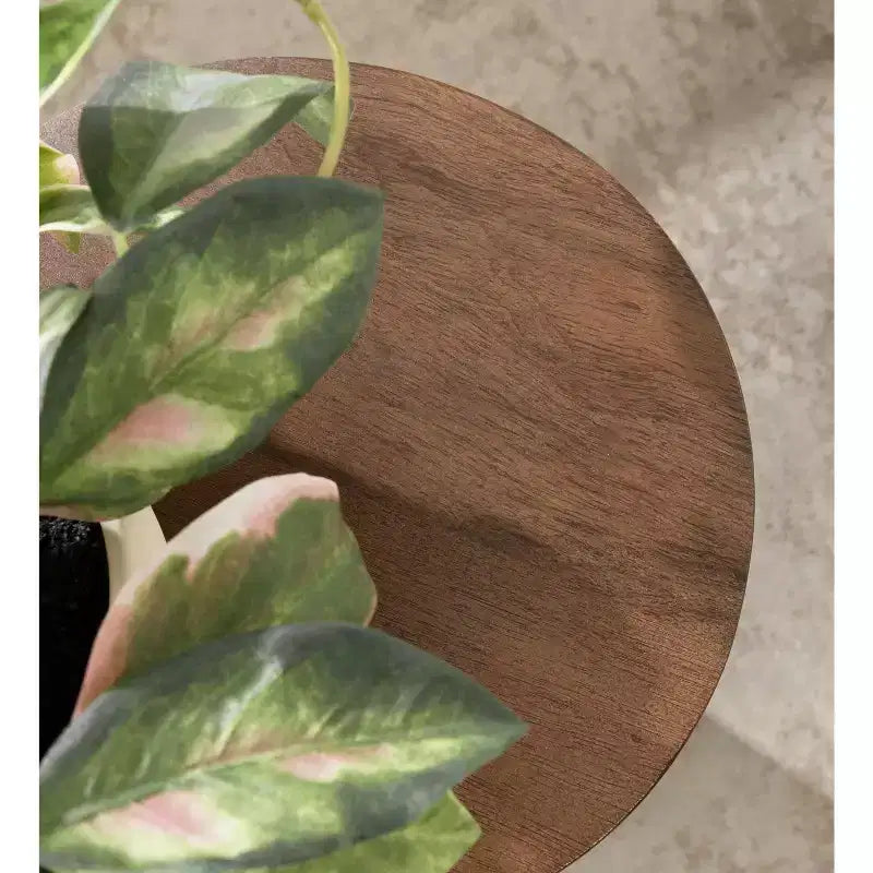 Table d'appoint en bois Kate and Laurel Reid