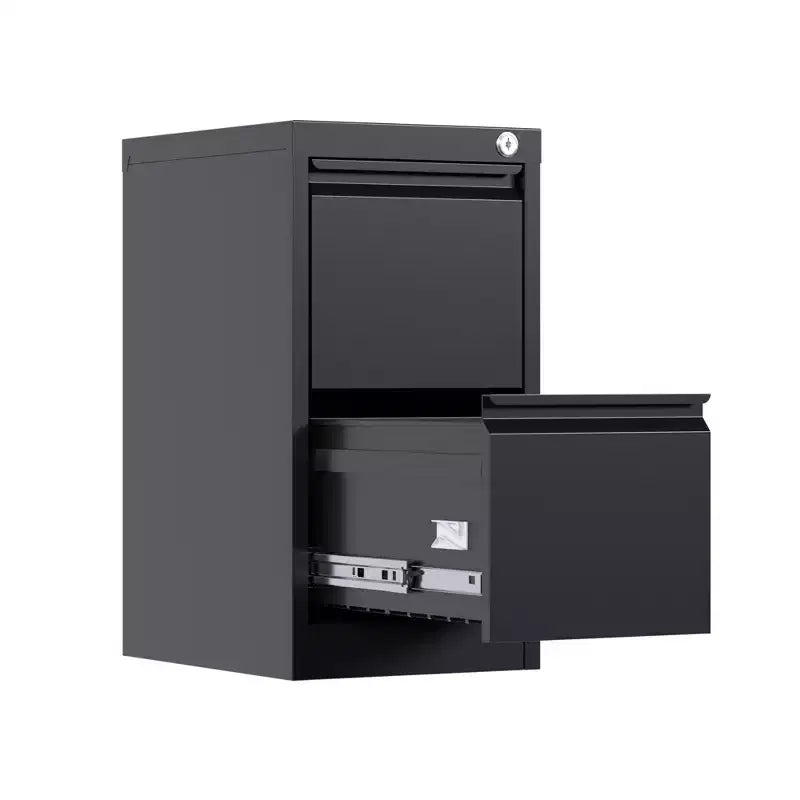 File Cabinet with 2-Drawer Lock,Vertical Metal Filing Cabinet for Letter/Legal Size Documents, File Storage for Home Office,Requires Assembly