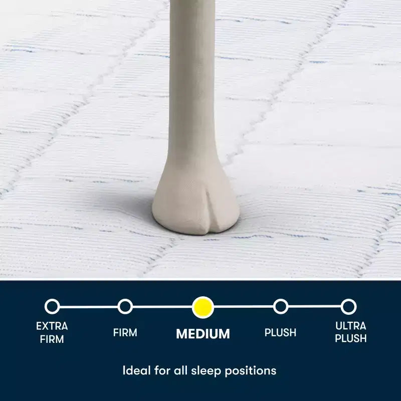 Matelas Serta Five Star - 10 Ferme