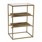 HomeRoots 24 Brass Glass And Iron Rectangular End Table With Two Shelves