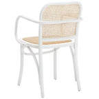 Chaise de salle à manger en rotin Keiko - DCH9503 - Safavieh