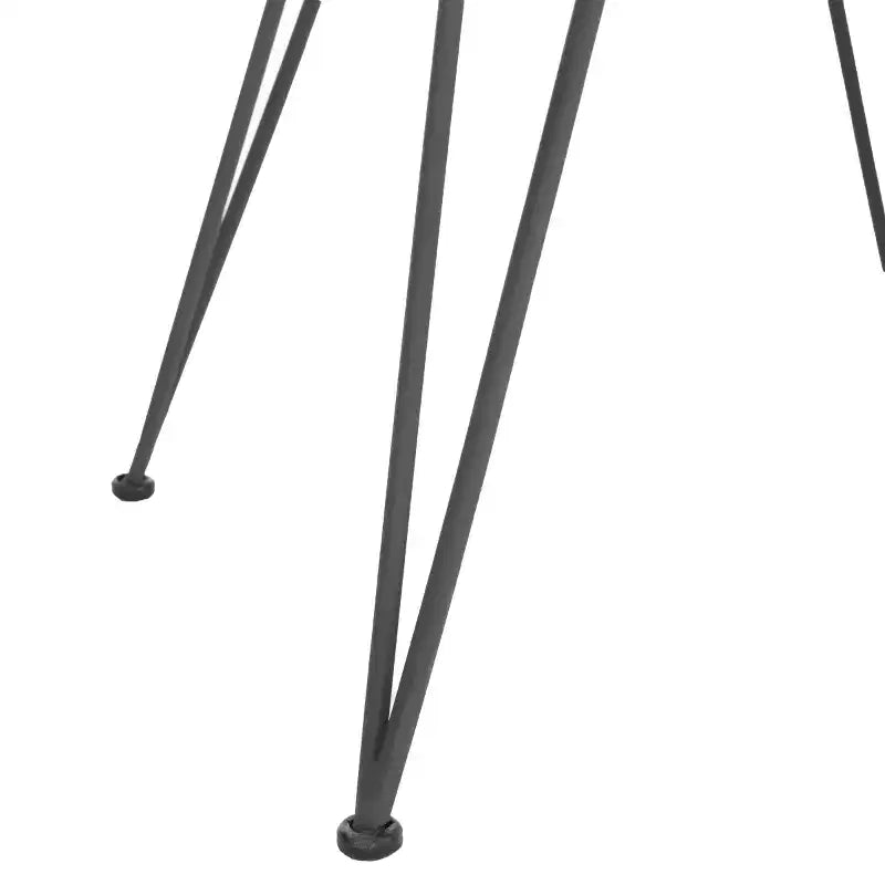 Chaises de salle à manger Jadis en cuir tressé (lot de 2) - DCH4002 - Blanc/Gris foncé - Safavieh
