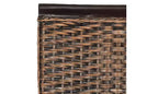 Chaise de salle à manger en osier Ilya 18 po H (lot de 2) - SEA8017 - Safavieh