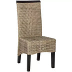 Chaise de salle à manger en osier Ilya 18 po H (lot de 2) - SEA8017 - Safavieh